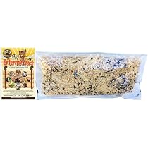 NaturesGoodGuys Fly Exterminators – 50,000 Natural Fly Control – Bug Killer For Flies