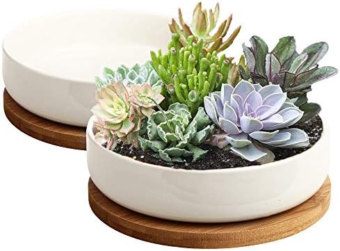 Succulent Pots, ZOUTOG 6 inch White 