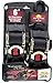 Cargo Strap, Ratchet, 6ft x 2In, 1333lb, PK2