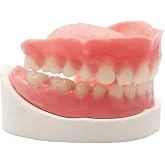 Healthyare Denture Do it Yourself Full Set of Top and Bottom Fake Teeth for Improve Smile