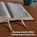 Biblical Creationism: What Each Book of the Bible Teaches About Creation & the Flood