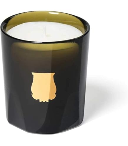 Amazon.com: Diptyque Essence of John Galliano 6.5 oz Scented