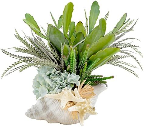 Creative Displays Cactus and Feathers in Sea Shell Vase