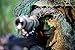3PC Camo Face Paint Sticks - Keep Stayed On & Easy to Clean Up - Shadow Black/Hunter Green/Earth Brown
