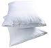 Niagara Sleep Solution 2 Pack Cotton Queen 20x30 Pillow Protectors 100% Waterproof Zippered Cotton White Terry Pillow Encasement Washable Long Life Soft (2 Pack Queen)