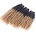 Synthetic Weave Kinky Curly Hair 3 Bundles Ombre Two Tone Black To Golden 16