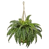 Nearly Natural 6930 Boston Fern Hanging Basket