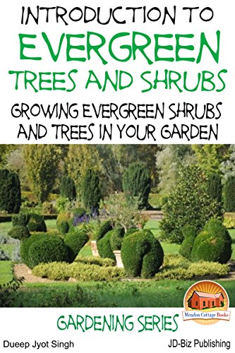 Introduction to Evergreen Trees and Shrubs - Growing Evergreen Shrubs and Trees in Your Garden