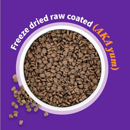 HALO ELEVATE PUPPY FOOD, CHICKEN RECIPE, HEALTHY GRAINS DRY DOG FOOD, 3.5 LB BAG