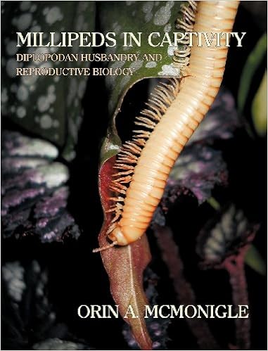 Millipeds in Captivity: Diplopodan Husbandry and Reproductive Biology (Millipede Husbandry), by Orin McMonigle Millipeds in Captivity: Diplopodan Husbandry and Reproductive Biology (Millipede Husbandry), by Orin McMonigle