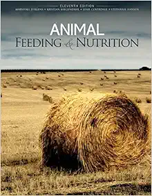 Animal Feeding+Nutrition
