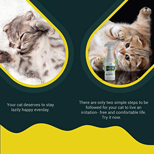 mdxconcepts Organic Flea and Tick Control Spray for Cats Made in USA
