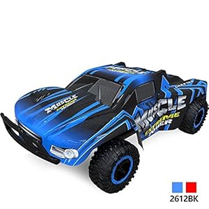 Outsta Radio Remote Control Car, 1:16 Scale Car,2.4GHz High Speed RC Racing Car 4WD Remote Control Truck Off-Road Buggy Toys Truck Vehicle Electric Cars Gift for Boys (Blue)