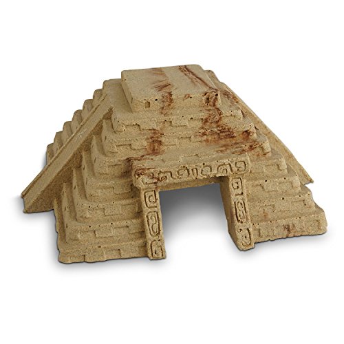 Top 10 Best Reptile Hides And Caves Top Reviews No Place Called Home