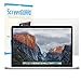 TOP CASE - Retina 13-Inch Ultra-Clear High Definition (HD) LCD Screen Guard for Old Generation Macbook Pro 13