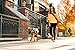 Dog Leash (Black, Medium)