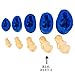 First Impression Molds B235 Baby 4 Silicone Cake Decorating Mold, Large, Blue