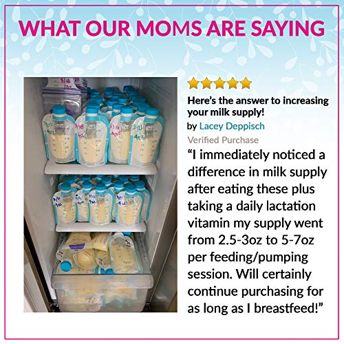 Lactation Cookies Mix Breastfeeding Supplement Oatmeal Cinnamon Raisin