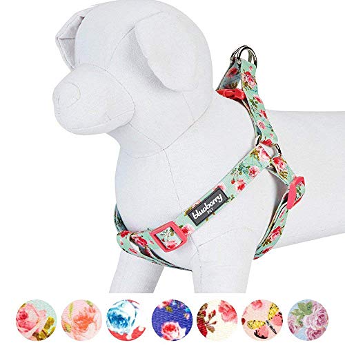 Blueberry Pet 9 Patterns Stepin Spring Scent Inspired Floral Rose