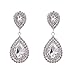 Miraculous Garden Womens Crystal Rhinestone Wedding Hypoallergenic Drop Earrings for Mother's Day Silver Gold Rose Gold Plated