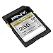 PNY Elite Performance 256GB High Speed SDXC Class 10 UHS-I, U1 Up to 90MB/sec Flash Card - P-SDX256U1H-GE