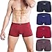 wirarpa Men's Breathable Modal Microfiber Trunks Underwear Covered Band Multipack