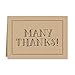 Brown Kraft Thank You Note Cards / 36 Thanks Greeting Cards Set With Brown Kraft Envelopes / 6 Bold Appreciation Designs / 3 1/2