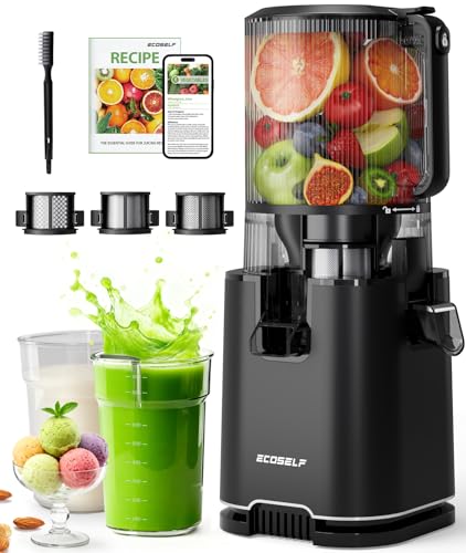 Cold Press Juicer by ECOSELF - Used condition - US$153.82
