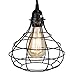 Rustic State Pendant Light Shades Light Bulb Covers 15