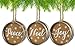 AuldHome Mason Jar Lid Christmas Ornaments, Farmhouse Decor (Set of 6), Rustic Galvanized Hanging Decorations with Peace, Joy, and Noel