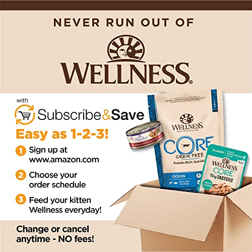 WELLNESS CORE TINY TASTERS FLAKED ADULT WET CAT FOOD, NATURAL, PROTEIN RICH, GRAIN FREE, TUNA AND SALMON RECIPE, 1.75 OZ, PACK OF 12 POUCHES