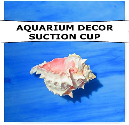 Aquarium Decoration, Aquarium planter, Fish tank decor, Fish tank planter, Live aquarium plants, Artificial aquarium plants, Betta rest