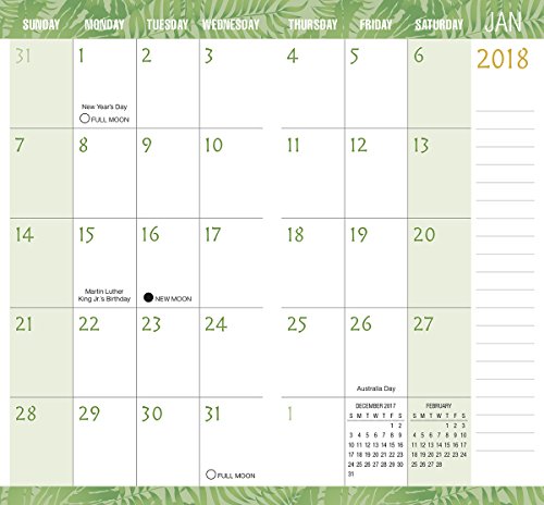 Jungle 2018 Checkbook/2 Year Pocket Planner Calendar (CC0280)