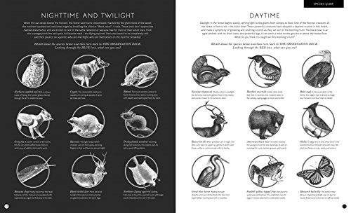 Illuminature: Discover 180 Animals with your Magic Three Color Lens (See 3 images in 1)