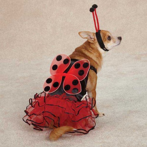 Casual Canine Lucky Bug Pet Costume - Red