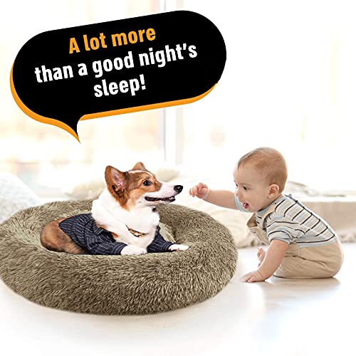 Calming Dog Bed, Dog Beds for Medium Dogs, Small & Large Donut Pet Bed