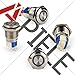APIELE 16mm Momentary Push Button Switch On Off Stainless Steel with 12V LED Angel Eye Head for 16mm 0.63