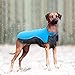 Didog Reflective Dog Winter Coat Sport Vest Jackets Snowsuit Apparel - 8 Sizes Available For Small Medium Large Dogs,Blue,4XL Size