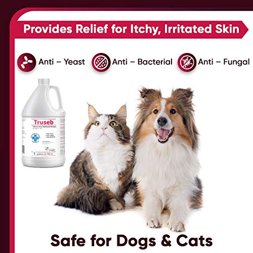 Truseb Chlorhexidine Shampoo with Ketoconazole for Dogs, Cats and