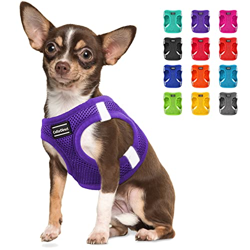 CollarDirect Step-in Reflective Dog Harness - Any Weather Air Mesh for Small an…