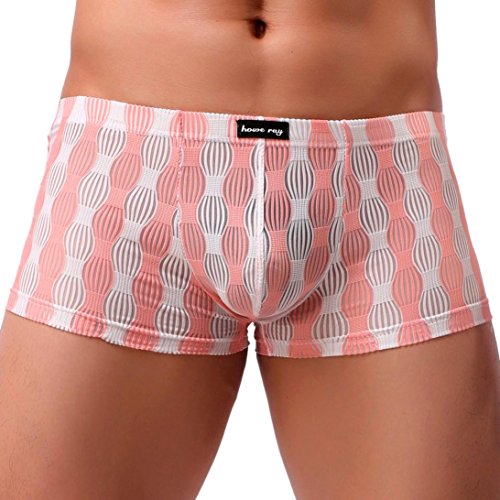 Mens Underwear ! Charberry Mens Translucent Low-Rise Mens Pants Sexy Comfortable Breathable Underpant Nightwear Sleepwear (US-XL/CN-L2, Pink)