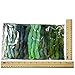 Needle Felting Roving Fiber for Felting Spinning Weaving Dryer Balls Soap Making and Embellishments. Color Sampler Pack of BFL Wool Hand Dyed in USA by Living Dreams. Greenery