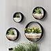 Modern Wall Planters Wall Vase Succulent Planter Circle Round Flower Pot Metal Iron Indoor Vertical Container Wall Hanging Home Decoration Size S,M,L 3 Pack Setthumb 3