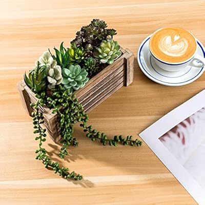 Artificial Succulents in Pots - Fake Succulent Plants, Artificial Plants for Home Decor Indoor, Faux Succulents for… 51rD5uhcujL