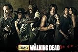 The Walking Dead - TV Show Poster / Print (The Season 5 Cast) (Size: 36