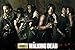 The Walking Dead - TV Show Poster / Print (The Season 5 Cast) (Size: 36