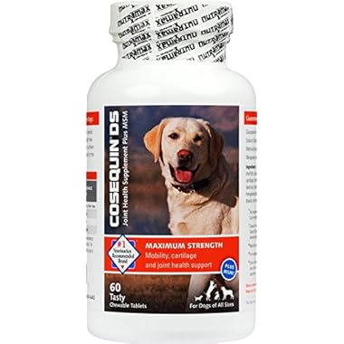 Nutramax Laboratories Cosequin Maximum Strength Joint Health Supplement for Dogs – With Glucosamine, Chondroitin, and MSM, 60 Chewable Tablets