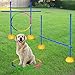 AKA Agility Training Set | Hurdle & Jump Ring| for Dog
