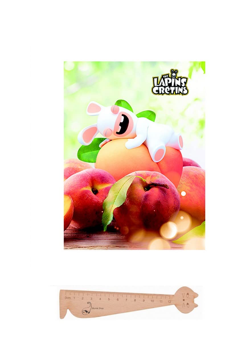 Lot of Text Notebook "Lapins Crétins Hamelin" + 1 Ruler Wooden Bookmark (Orange)