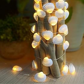WSgift Natural Beach Seashell String Lights 13.85 Ft 40 Warm White LED Weatherproof Battery Operated 8 Modes Ocean… 51rDPNALvhL. SS280